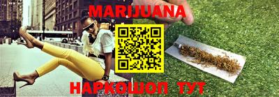 индика Новодвинск
