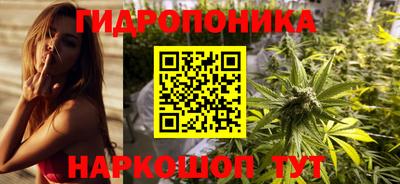 мдпв Обь