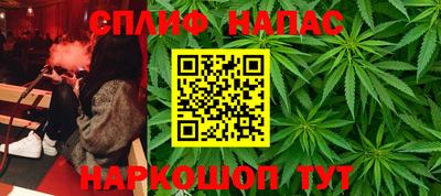 мдпв Обь