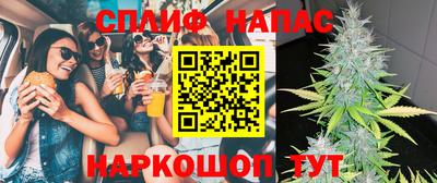 мдпв Обь