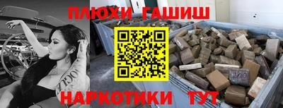 индика Новодвинск