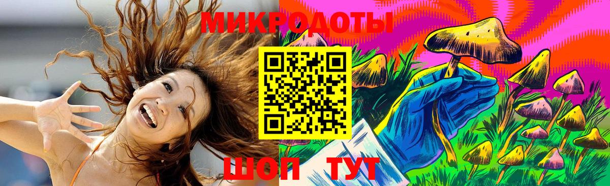 Галлюциногенные грибы Psilocybine cubensis Свободный